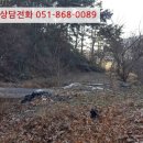 양보면사무소 이미지