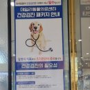 데일리 동물의료센터 이미지