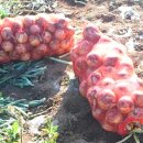 신토불이농장 이미지