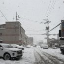 가장맛있는족발 청양점 이미지