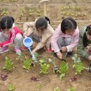 양천도시농업공원 이미지