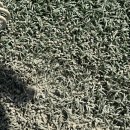 강하생활체육공원 이미지