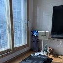 J.H패리스힐크릭 | [내돈내산 임산부 꿀템 추천] 워킹패드, 튼살크림, 임부복 (임산부 레깅스, 수영복) 퉁퉁이별티, 바디...