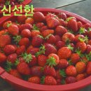 김영래농장 이미지