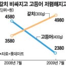 금갈치은고등어 이미지