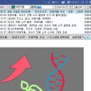 부광자원 이미지