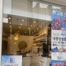 도도스네일