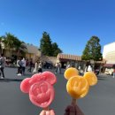 굿타임편의점 | [일본/도쿄] 내가 돈이 없는 이유 - 3 (feat. 디즈니랜드, 스시로)