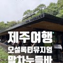 누들숲 | 제주여행 오설록티뮤지엄 말차누들바 솔직후기