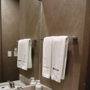 도미인 서울 강남 이미지