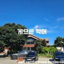 게으른 악어 | 충북 충주시 충주호뷰 카페 게으른 악어 솔직 후기 (Feat 악어봉 등산)