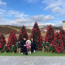 산타축제 | 2024 크리스마스의 추억🎅🏻🎄 :: 아이랑 트리 꾸미기 | 크리스마스 케이크 | 익산 산타축제 후기