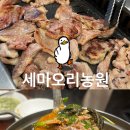 세마오리농원 이미지