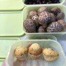 스마트프레쉬 | [락앤락 그린메이트] 보관까지 신선해야 진짜 신선, 락앤락 프레쉬 스마트킵 후기