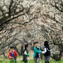 다음태양광발전소 이미지