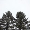 추전벨리가든 이미지