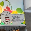 G00186 | 이탈리아 로마 3대 젤라또 올드브릿지 지올리띠 파씨 비교 후기