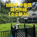파티파티펜션 | 남양주시 수동면 [소소온기]강아지수영장 애견카페 펜션 파티룸 솔직 후기✨