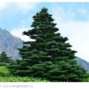 나무와 친해지기 이미지