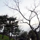 쉬는팡 하우스 | 제주 힐링 여행(13.01.06 - 13.01.08): 제주신라호텔 즐기기Ⅰ