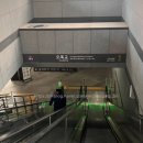 해밍데이 이미지