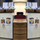 멍멍이냥 강아지분양 이미지