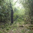 대흥자원 이미지