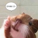 b오M | 초고도근시 라식/라섹 검안 후기 | A, B 안과 비교, 광학부보다 더 크게 남았던 검사 체감