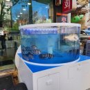 또또회수산 이미지