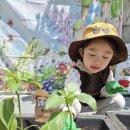 보령푸드 이미지