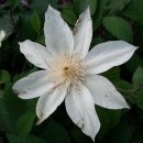 무지개송어횟집 이미지