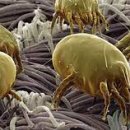 숲동물병원 이미지