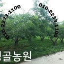 성골 농원 이미지