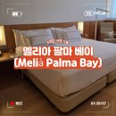 팔마수영장 | [스페인] 마요르카 숙소 추천! 멜리아 팔마 베이 디럭스룸 솔직후기 (+ 수영장, 주차)