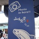 미나식당 이미지