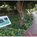 미평동죽림마을 이미지