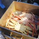 명성회수산 이미지