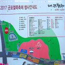 ▣ 2017년 군포철쭉 축제 이미지