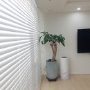 영동커텐 이미지