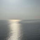 씨유영덕삼사파나크점 | 파나크 영덕 근처 맛집 추천 | 파나크 레스토랑 점심 방문 후기