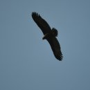 동주농장 이미지