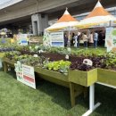 세종특별자치시농업기술센터 | 2026년도 상반기 특광역시농업기술센터소장 협의회 개최