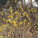 문학경기장 이미지