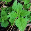 참빛한의원 이미지