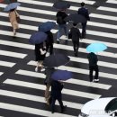 현일테크 | 경기도 여주 복숭아, 자두 과수 [팜캡스] 조류 퇴치기 설치