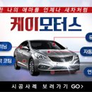 황금카모터스 이미지