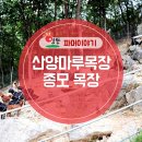 산양마루목장 이미지