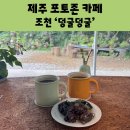 선흘리에 | 제주 조천 카페 능소화로 유명한 선흘리 포토존 카페 덩굴덩굴