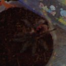 7호선 하계역 이미지