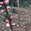 원일농원 이미지